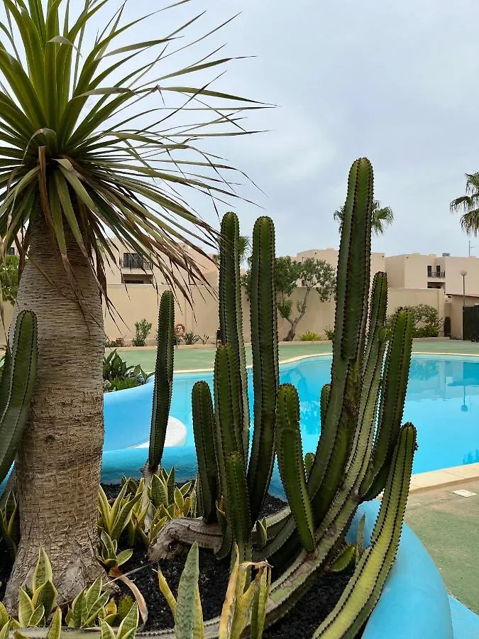 Surf & Chill Bungalow 69, Quiet Green Oasis With Community Swimmingpool Parque Holandes 0*,  Spain