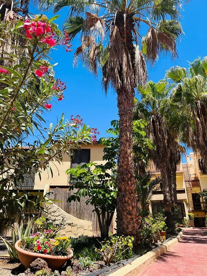 Holiday home Surf & Chill Bungalow 69, Quiet Green Oasis With Community Swimmingpool Parque Holandes Spain